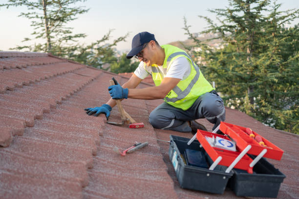 Best Roof Gutter Cleaning  in Kincheloe, MI